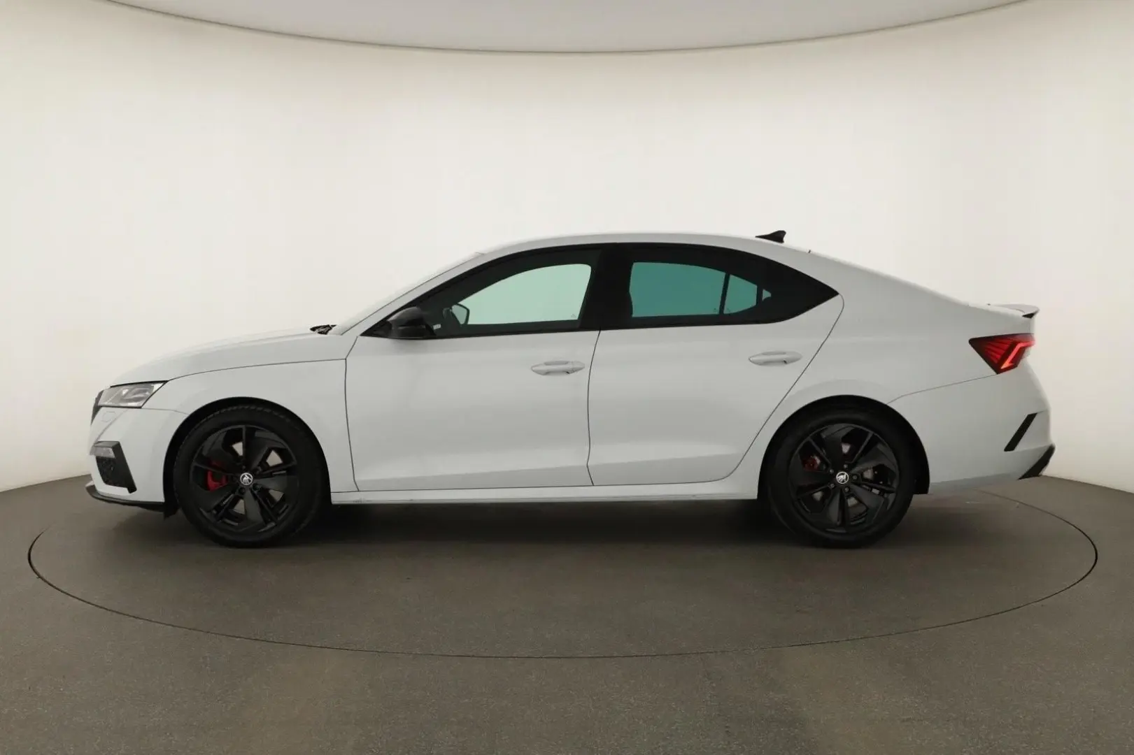 Octavia 2.0TSI DSG RS Navi+Matrix+Winterpaket
