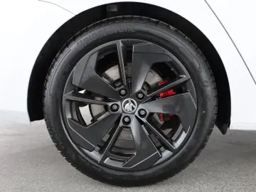 Octavia 2.0TSI DSG RS Navi+Matrix+Winterpaket