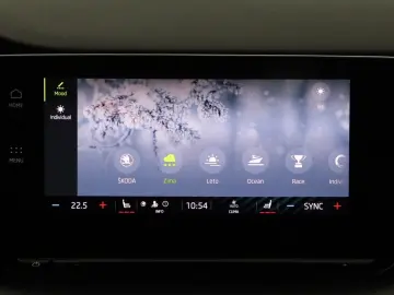 Octavia 2.0TSI DSG RS Navi+Matrix+Winterpaket