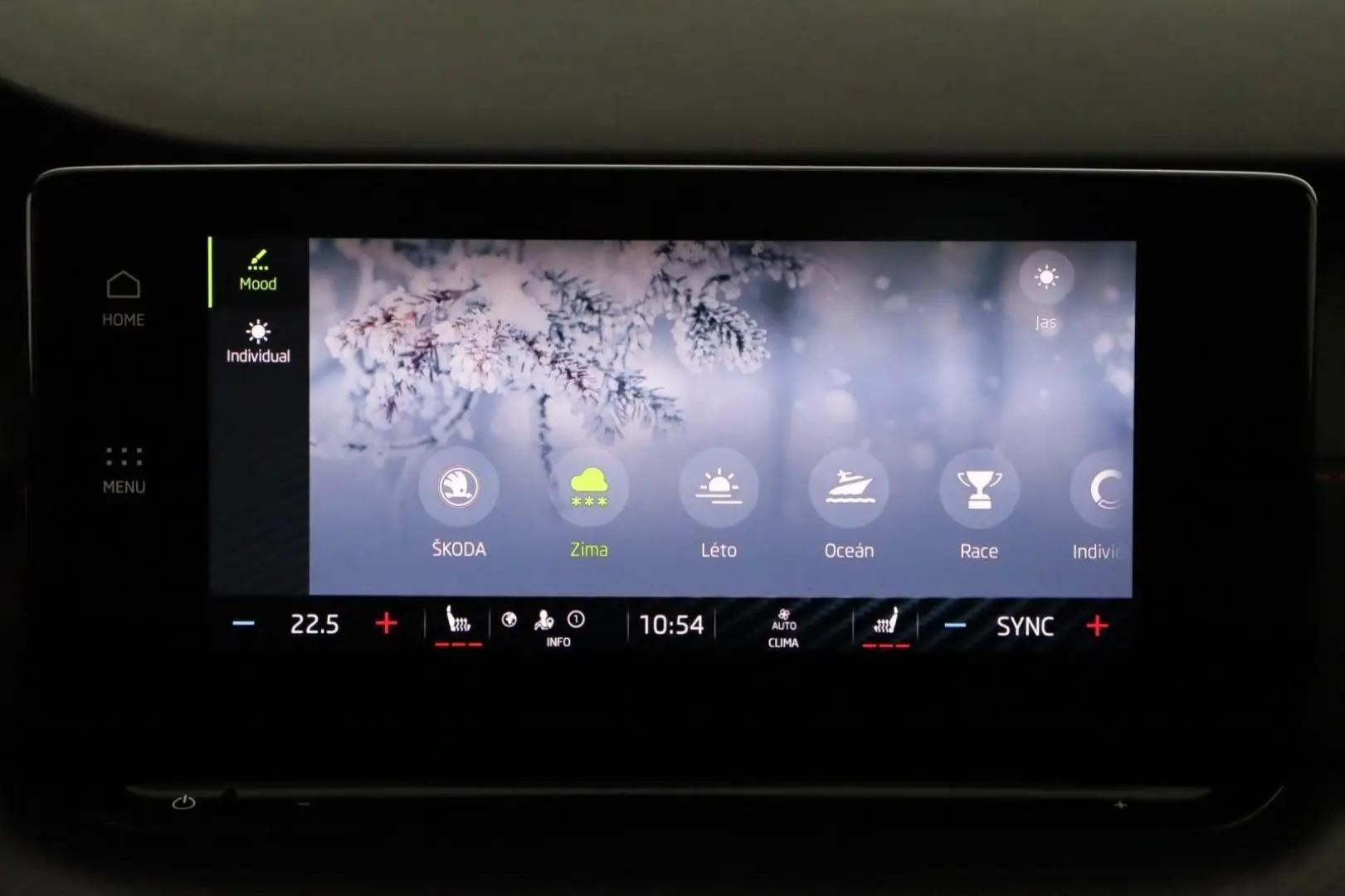 Octavia 2.0TSI DSG RS Navi+Matrix+Winterpaket