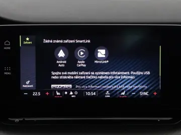 Octavia 2.0TSI DSG RS Navi+Matrix+Winterpaket