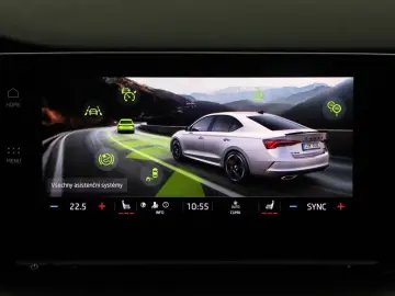 Octavia 2.0TSI DSG RS Navi+Matrix+Winterpaket