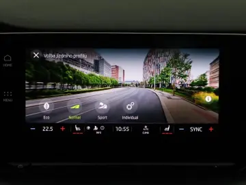 Octavia 2.0TSI DSG RS Navi+Matrix+Winterpaket