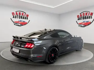 Mustang SHELBY-OPTIK/LEDER/NAVI/KAMERA/TÜV NEU