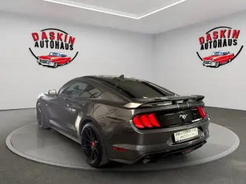Mustang SHELBY-OPTIK/LEDER/NAVI/KAMERA/TÜV NEU