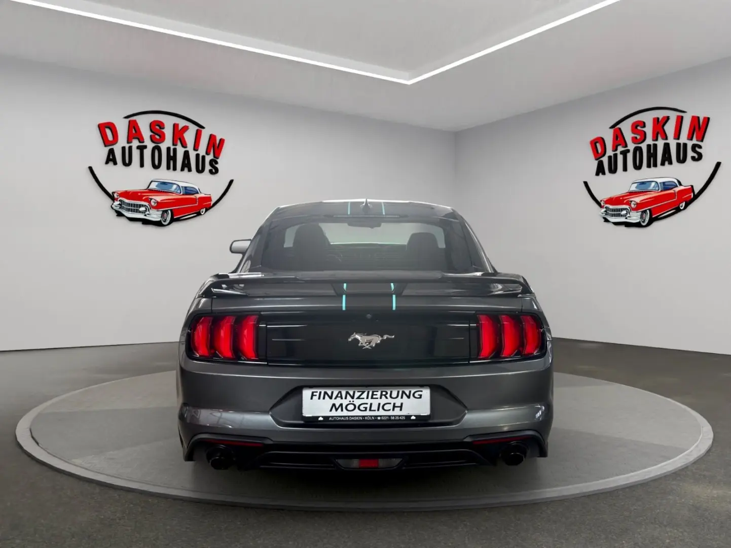 Mustang SHELBY-OPTIK/LEDER/NAVI/KAMERA/TÜV NEU