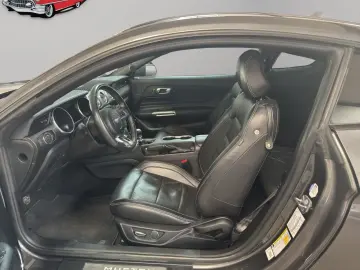 Mustang SHELBY-OPTIK/LEDER/NAVI/KAMERA/TÜV NEU