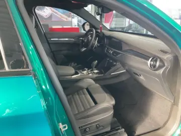 Stelvio Quadrifoglio Assistenz Paket / GSD