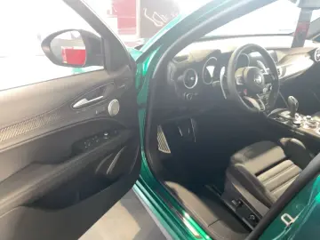 Stelvio Quadrifoglio Assistenz Paket / GSD