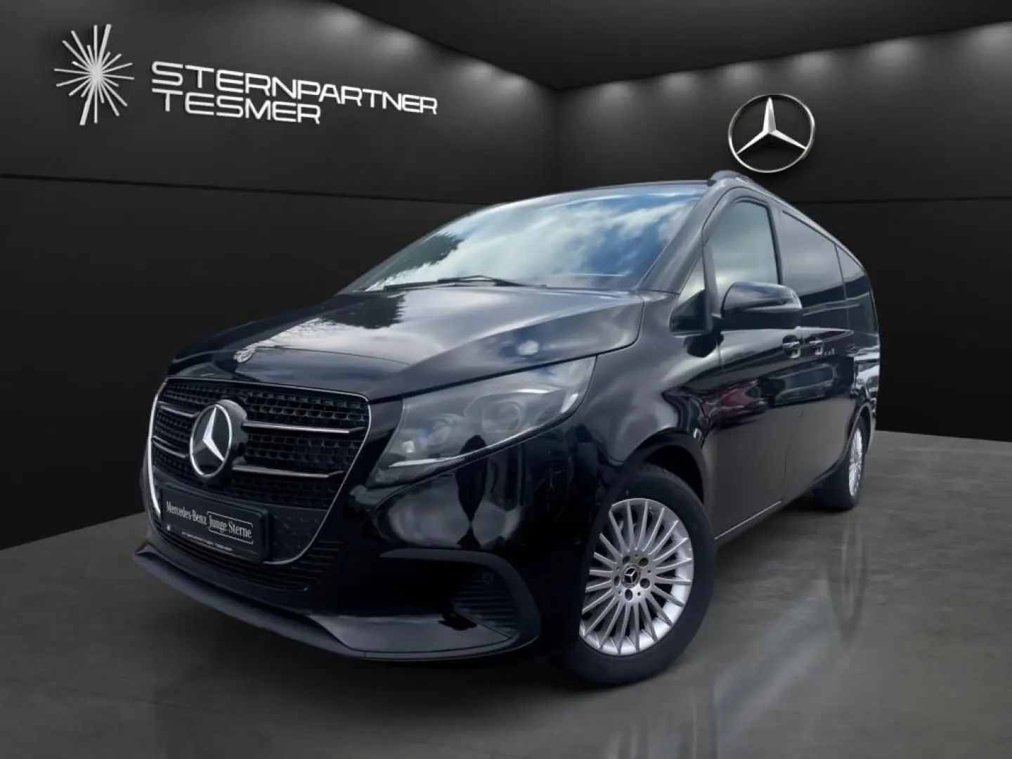 V 250 d STYLE Lang AMBIENTE+KAM+AHK+E-Tür+MULTIB