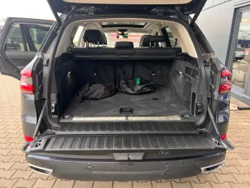 X5 xDrive 45 e  Massage Driving Ass. Prof