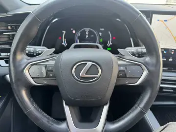 RX450h+ Plugin-HYBRID Executive Line * Panoramad
