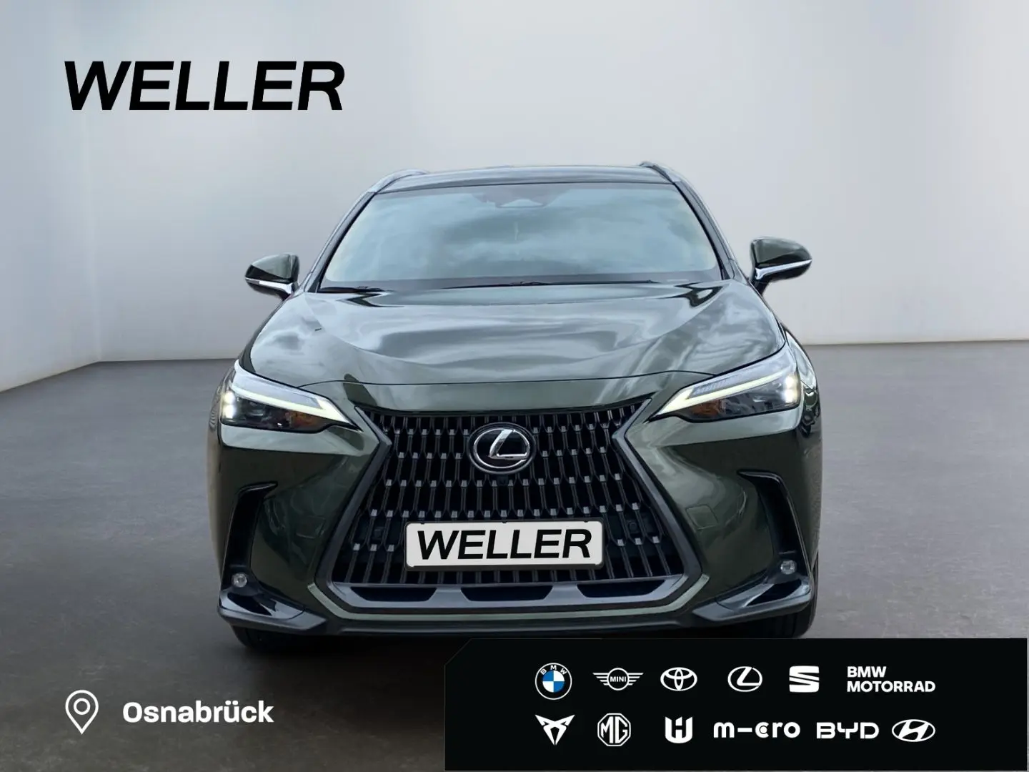 NX 350h Business Line *Bi-LED*360°*Leder*el Heck