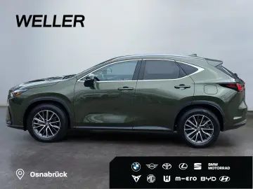NX 350h Business Line *Bi-LED*360°*Leder*el Heck
