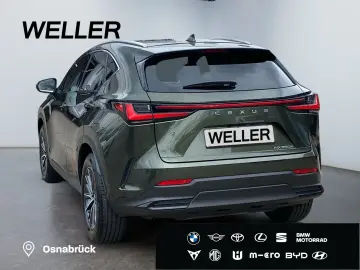 NX 350h Business Line *Bi-LED*360°*Leder*el Heck
