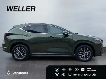 NX 350h Business Line *Bi-LED*360°*Leder*el Heck