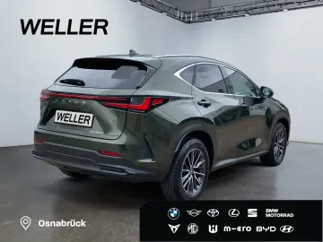 NX 350h Business Line *Bi-LED*360°*Leder*el Heck