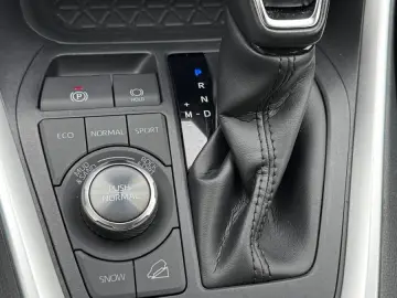 RAV 4 2.0 16V 4x4 Automatik dig. Tacho Cam DAB
