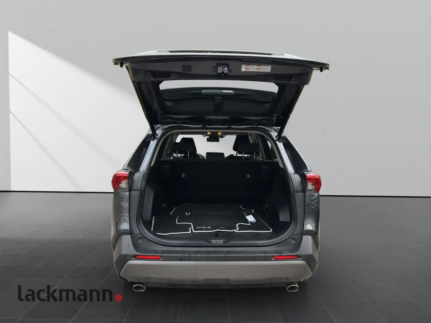RAV 4 2.5 Hybrid 4x4 Team D*Navi*LED*ACC*DAB*