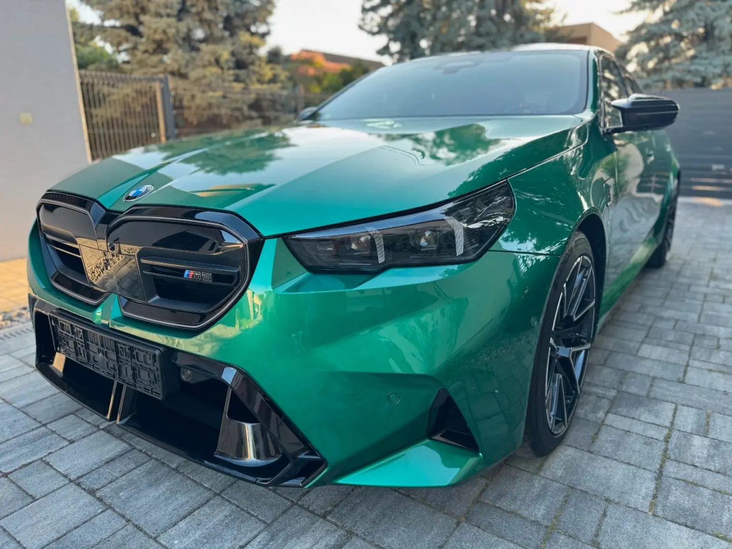 FULL Carbon B&W Ceramic ULTIMATE Package