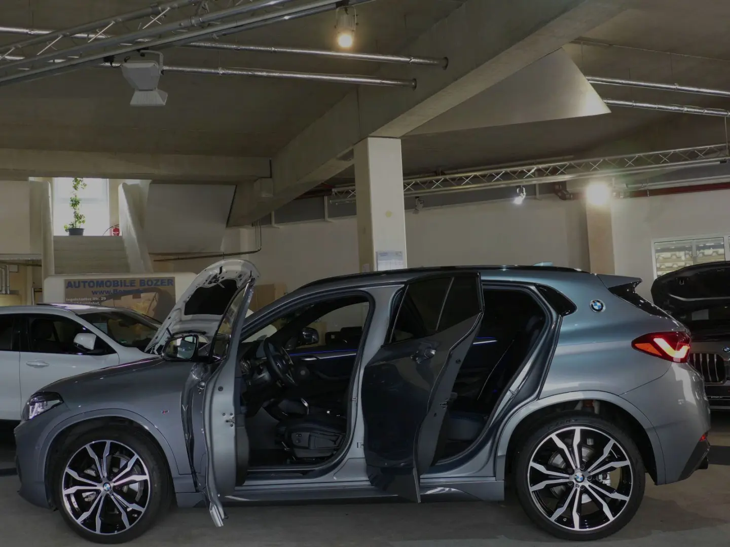 X2 20d xDr MSport AHK,HUD,Kamera,H&K NP:68.559