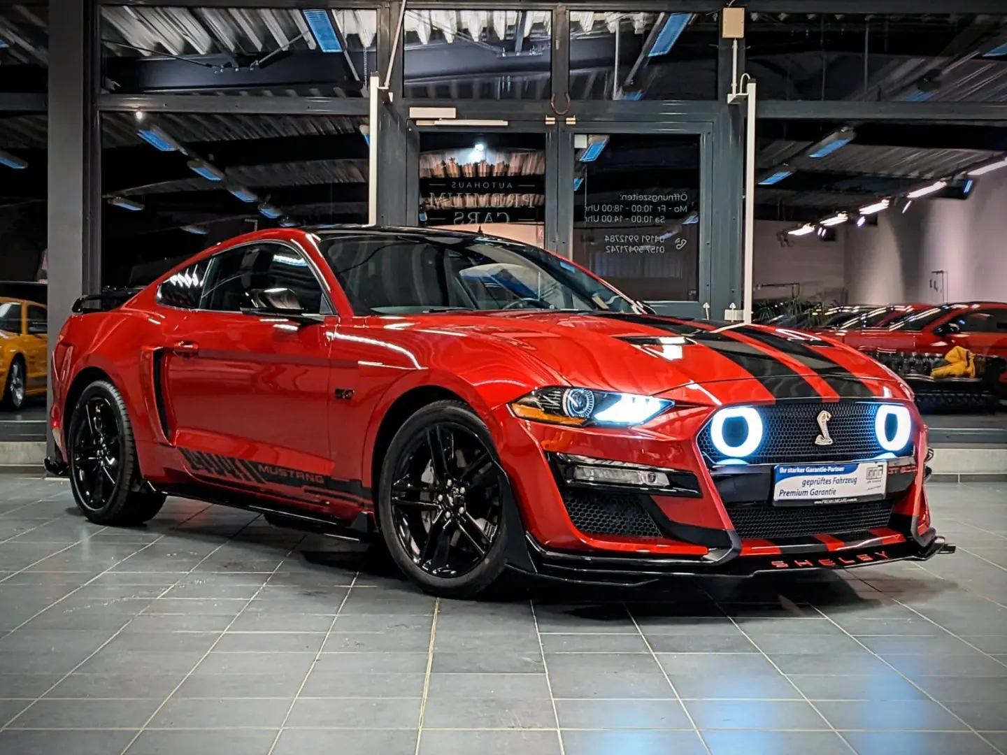 Mustang 5.0 GT 500 Shelby Look