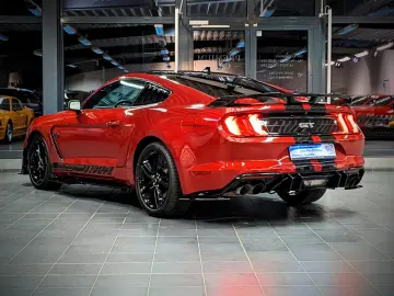 Mustang 5.0 GT 500 Shelby Look