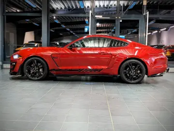 Mustang 5.0 GT 500 Shelby Look