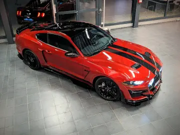 Mustang 5.0 GT 500 Shelby Look