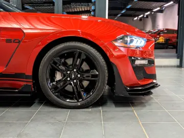 Mustang 5.0 GT 500 Shelby Look