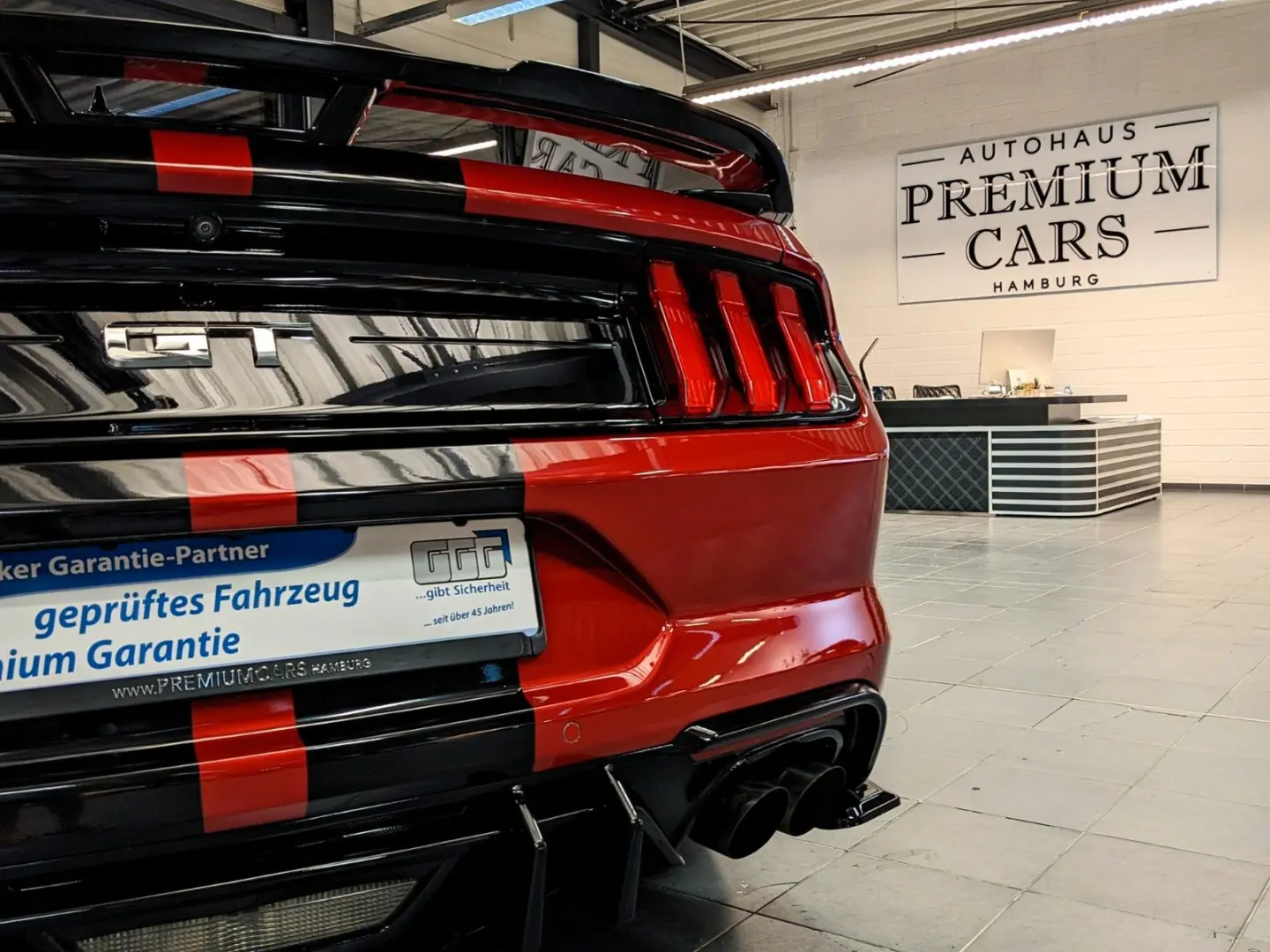 Mustang 5.0 GT 500 Shelby Look