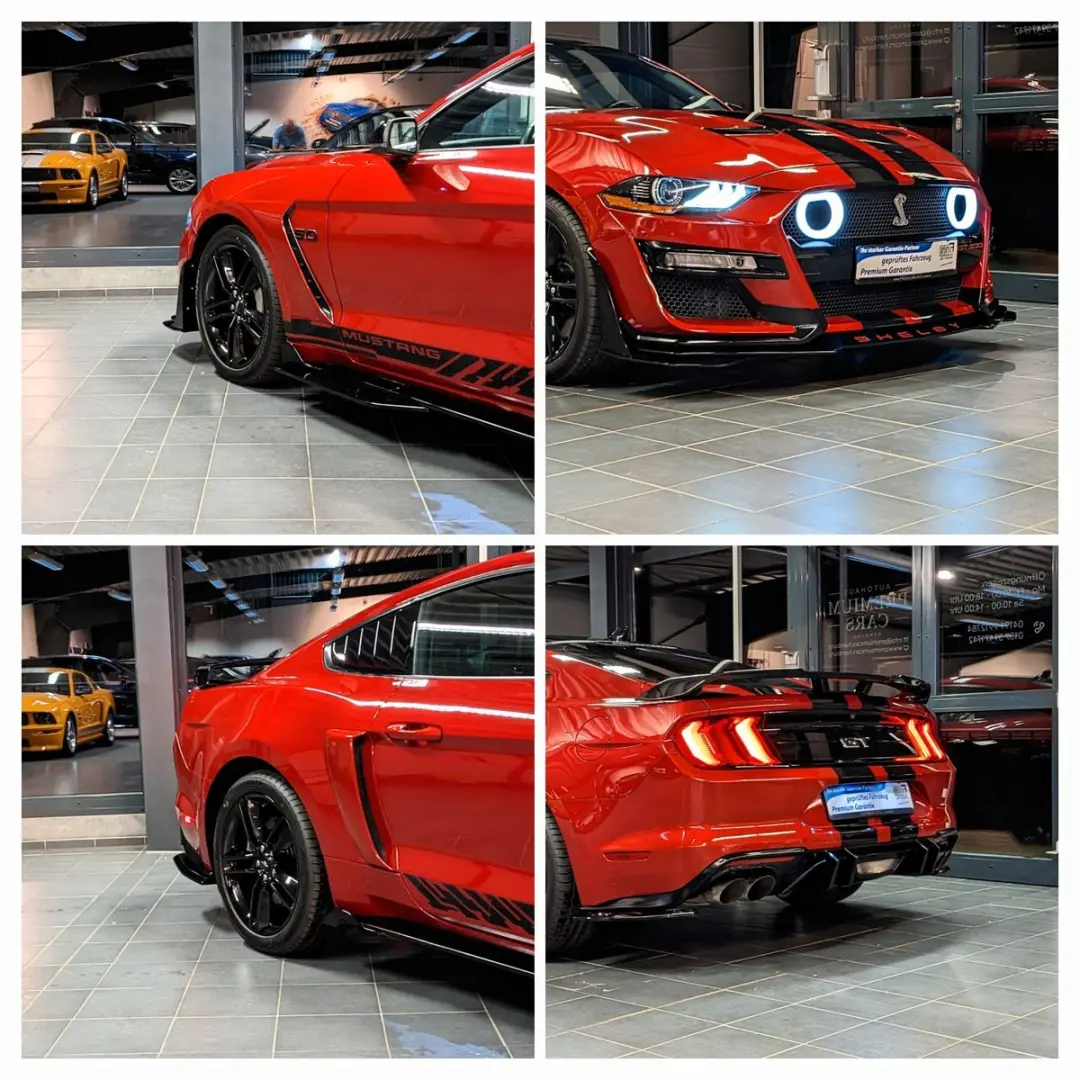 Mustang 5.0 GT 500 Shelby Look