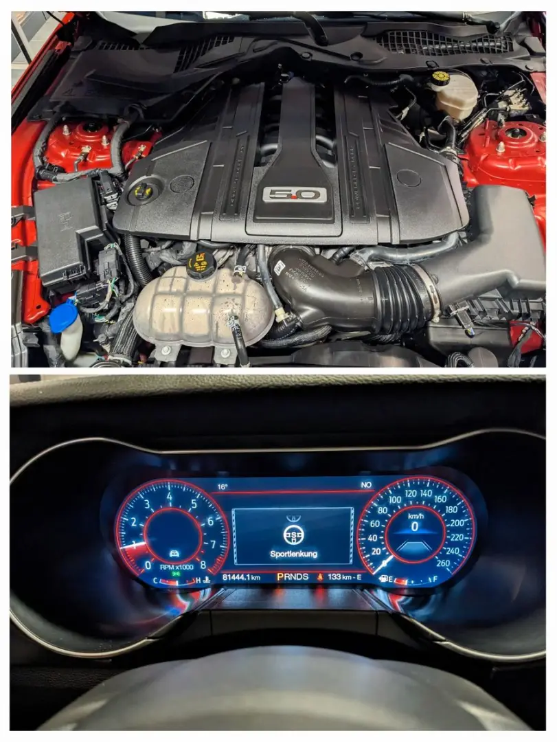 Mustang 5.0 GT 500 Shelby Look