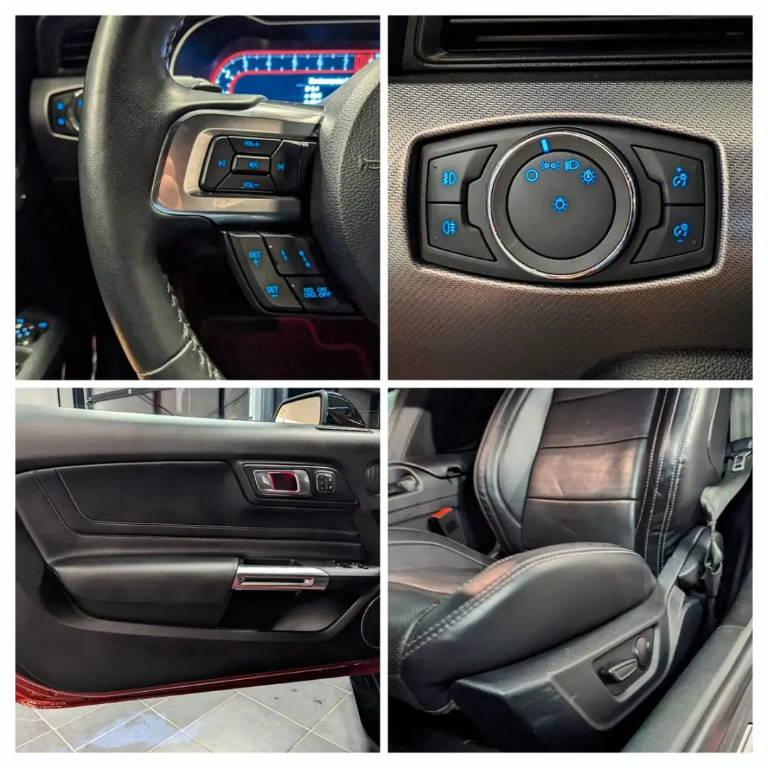 Mustang 5.0 GT 500 Shelby Look
