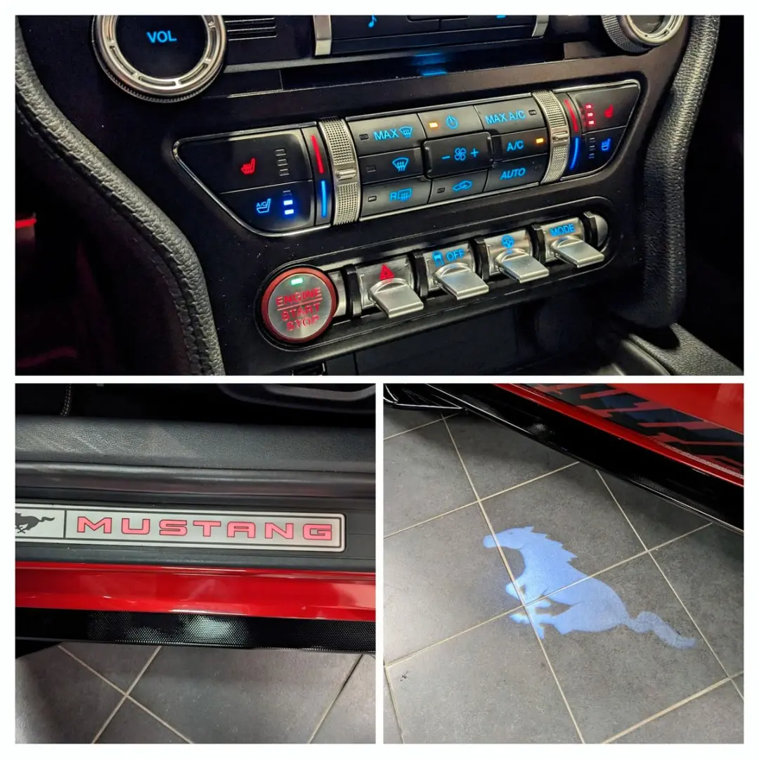 Mustang 5.0 GT 500 Shelby Look