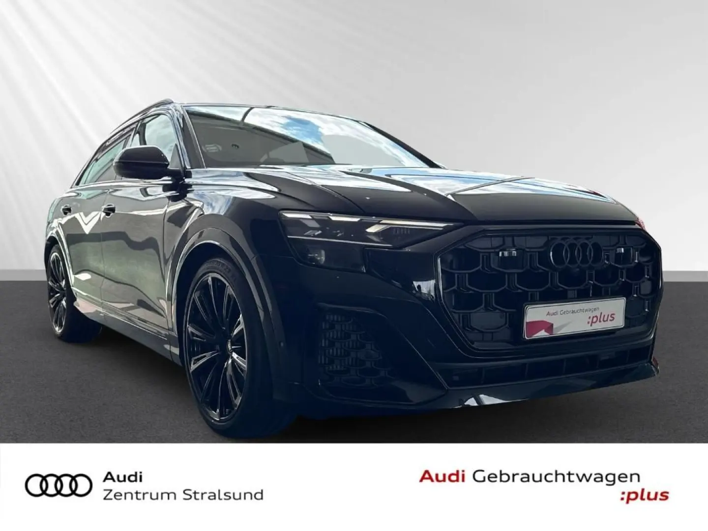 SQ8 SUV TFSI 373(507) kW(PS) tiptronic