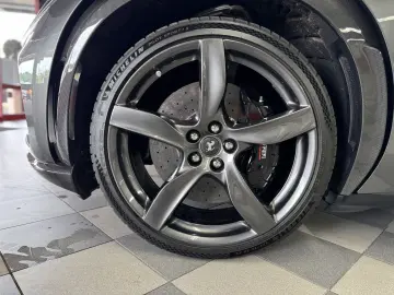 Purosangue Carbon*1