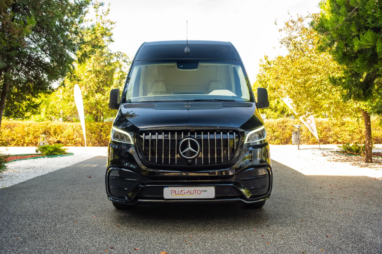Mercedes-Benz Sprinter VIP
