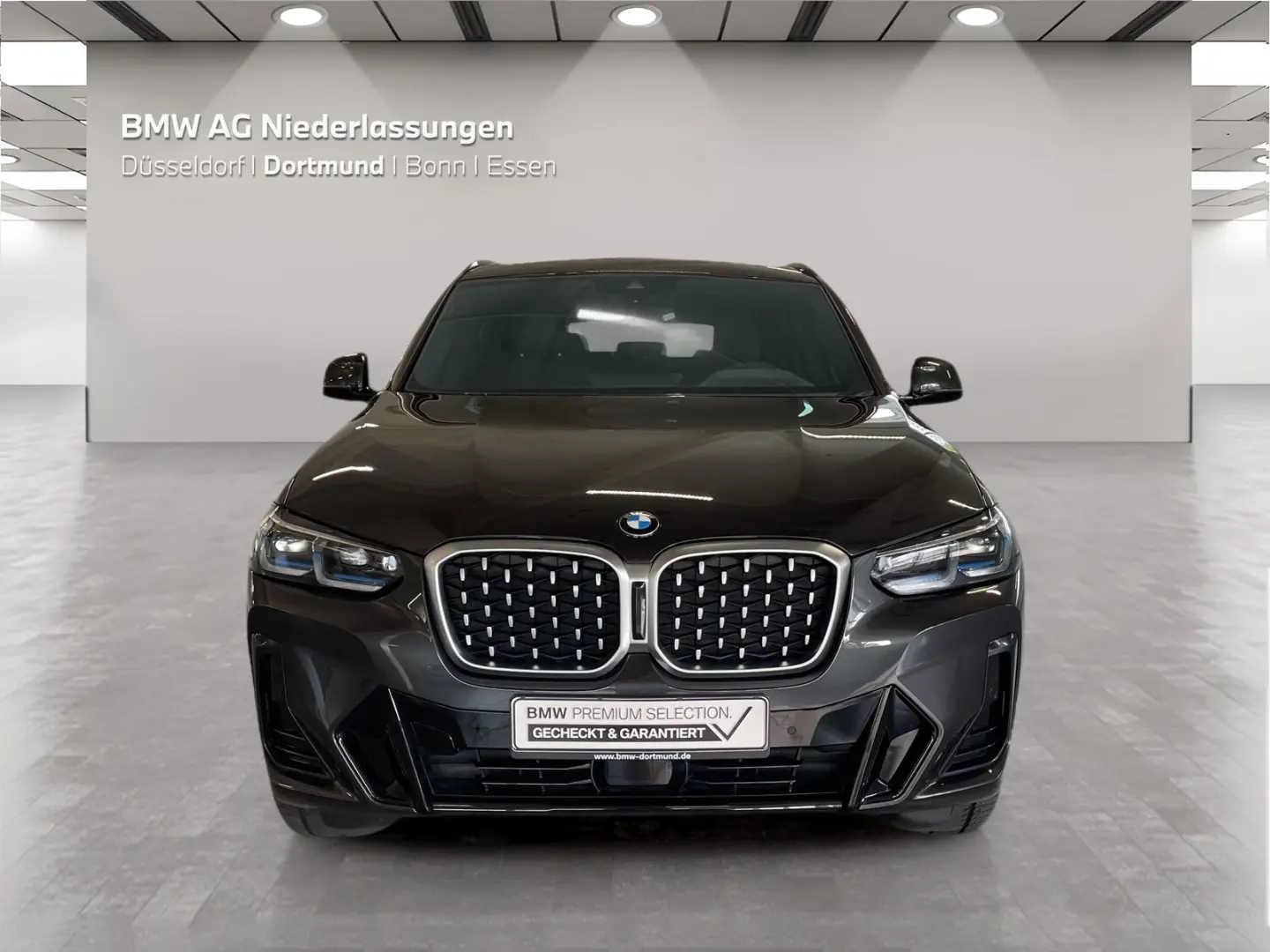 X4 xDrive30d M Sport Standheizung AHK Head-Up