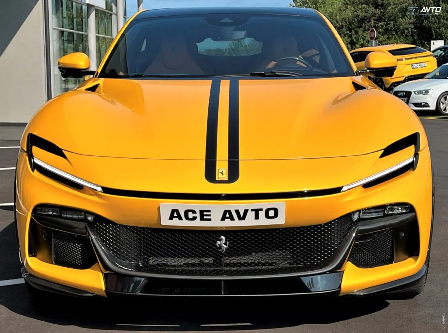 PUROSANGUE 6.5-V12-725HP-FULL-CARBON-COOL-SEAT