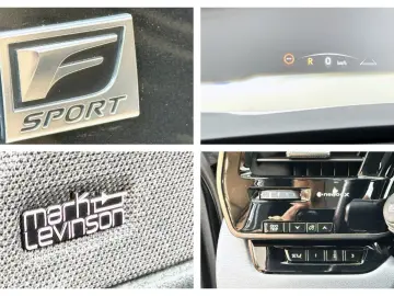 RX 500 h DIRECT4 F SPORT+ / PANORAMA