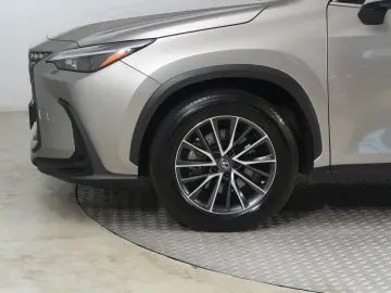 NX