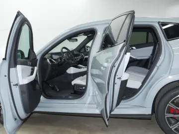 X6 xDrive30d M Sport Gestiksteuerung HK HiFi