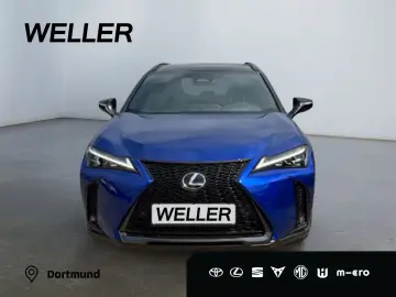 UX 300h Allrad/F SPORT*Matrix LED*360°*ACC*HUD*L