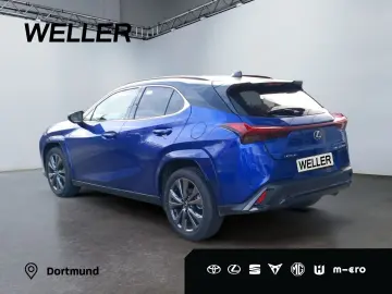UX 300h Allrad/F SPORT*Matrix LED*360°*ACC*HUD*L