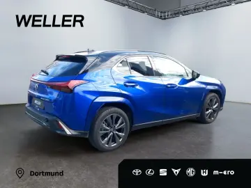 UX 300h Allrad/F SPORT*Matrix LED*360°*ACC*HUD*L