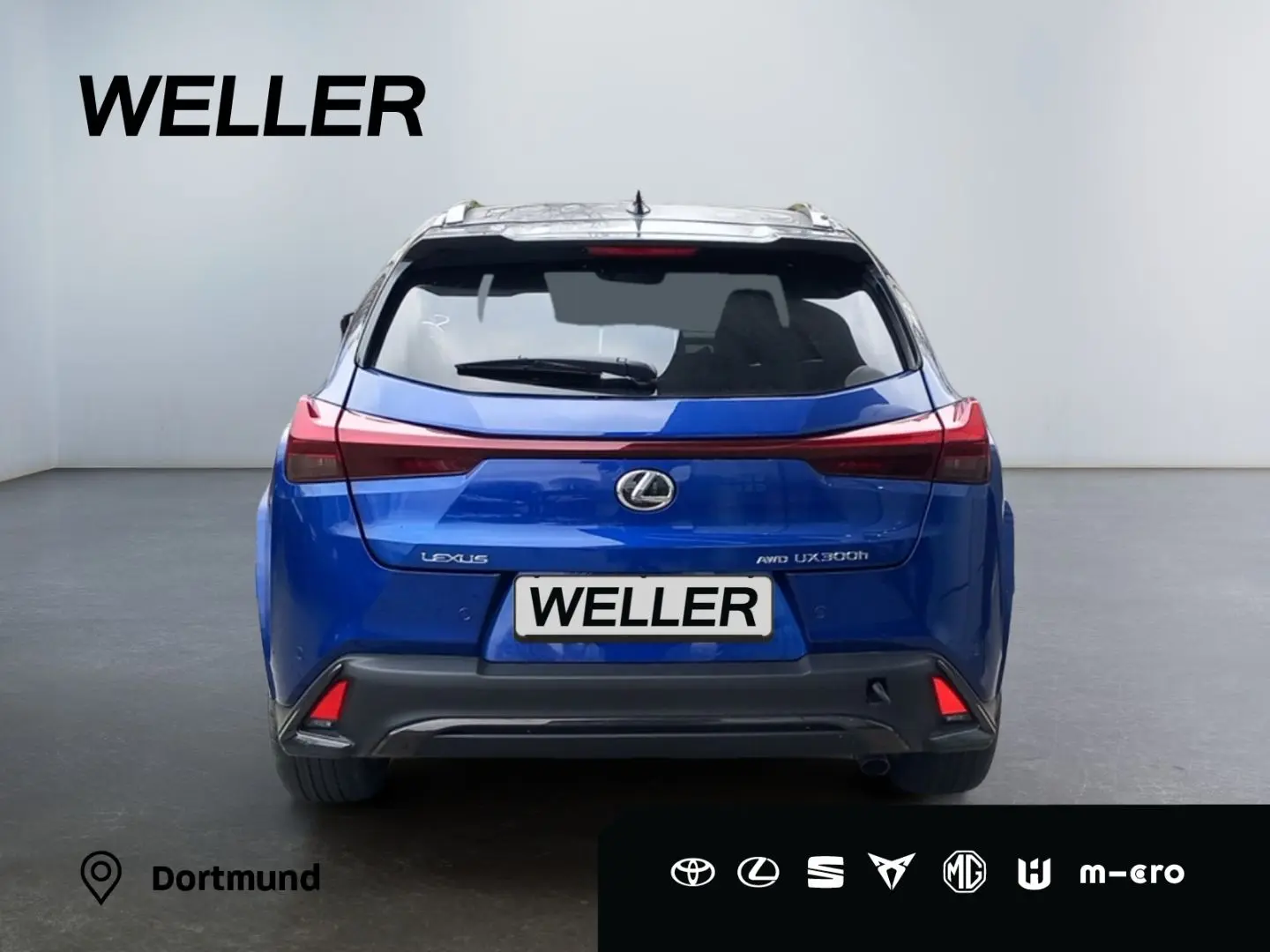 UX 300h Allrad/F SPORT*Matrix LED*360°*ACC*HUD*L