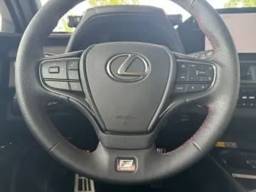 UX 300h Allrad/F SPORT*Matrix LED*360°*ACC*HUD*L