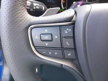 UX 300h Allrad/F SPORT*Matrix LED*360°*ACC*HUD*L