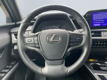 UX 250h Style Edition *Bi-LED*ACC*CAM*SHZ*CarPla